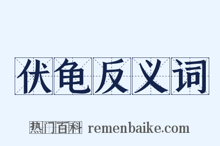 伏龟反义词是什么意思的图片
